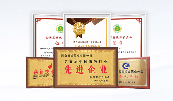 天成鴿業(yè)資質(zhì)榮譽(yù)