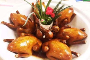 今年鴿子的市場行情如何