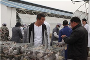 http://www.mehoolife.cn/kehujianzheng/2020/1030/1582.html