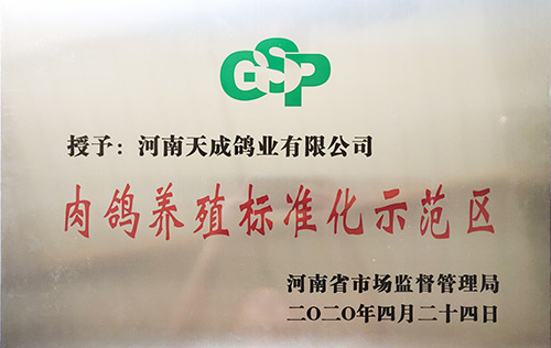 肉鴿養殖標準化示范區