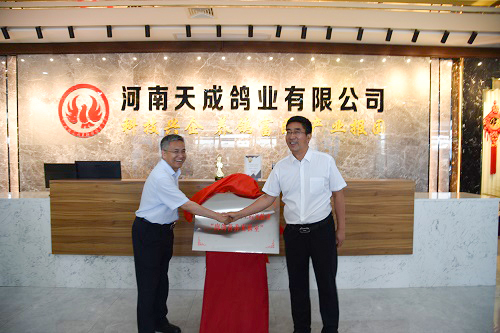 河南省工程實驗室“肉鴿營養實驗室”揭牌儀式在天成鴿