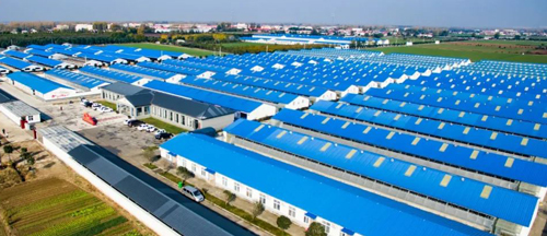 喜訊！天成鴿業入選2022年國家級畜禽養殖標準化示范場