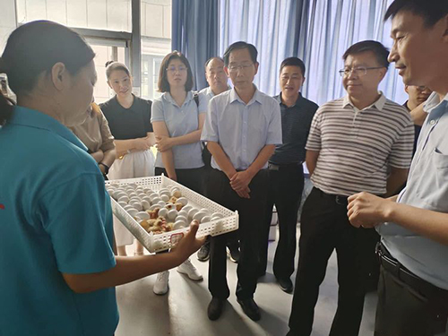 中國綠色食品發(fā)展中心蒞臨天成鴿業(yè)調研